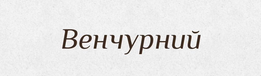 Венчурний — Великий тлумачний словник сучасної української мови