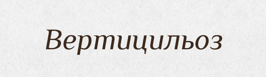 Вертицильоз — Великий тлумачний словник сучасної української мови