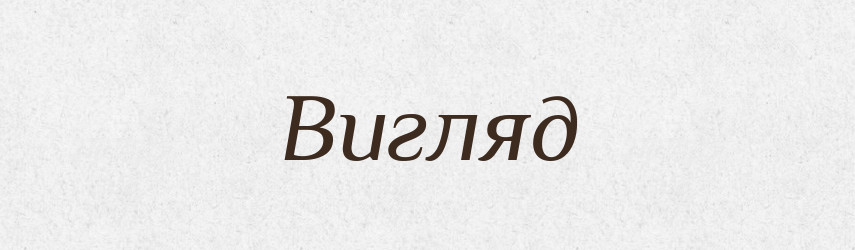 Вигляд — Великий тлумачний словник сучасної української мови
