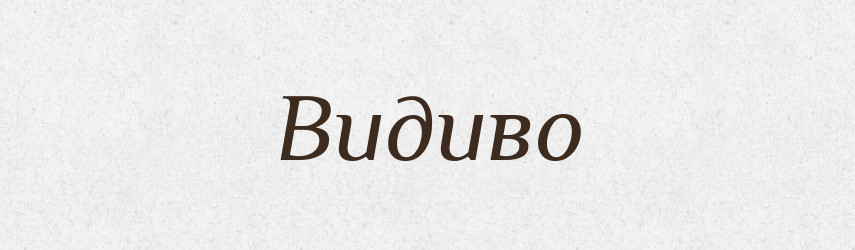 Видиво — Великий тлумачний словник сучасної української мови