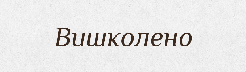Вишколено — Великий тлумачний словник сучасної української мови