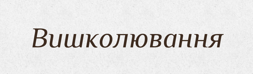 Вишколювання — Великий тлумачний словник сучасної української мови