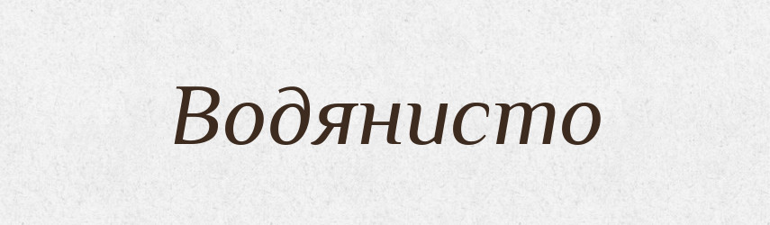 Водянисто — Великий тлумачний словник сучасної української мови