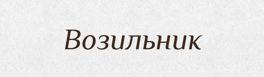 Возильник — Великий тлумачний словник сучасної української мови