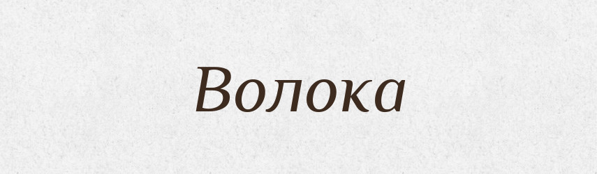 Волока — Великий тлумачний словник сучасної української мови