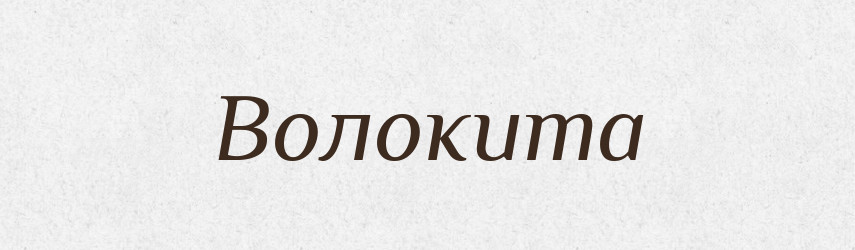 Волокита — Великий тлумачний словник сучасної української мови
