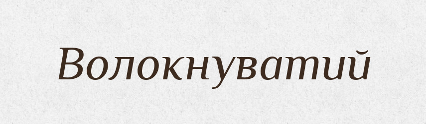 Волокнуватий — Великий тлумачний словник сучасної української мови