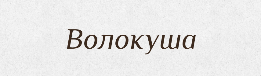 Волокуша — Великий тлумачний словник сучасної української мови