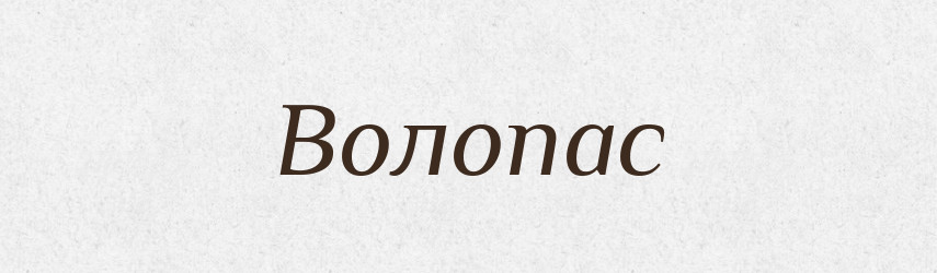 Волопас — Великий тлумачний словник сучасної української мови