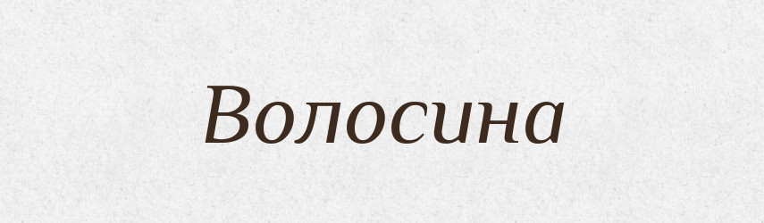 Волосина — Великий тлумачний словник сучасної української мови