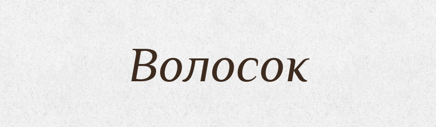 Волосок — Великий тлумачний словник сучасної української мови