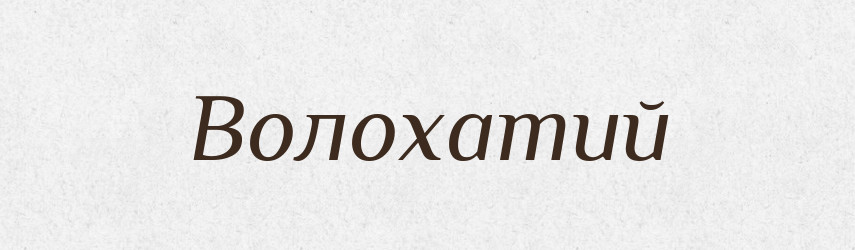 Волохатий — Великий тлумачний словник сучасної української мови