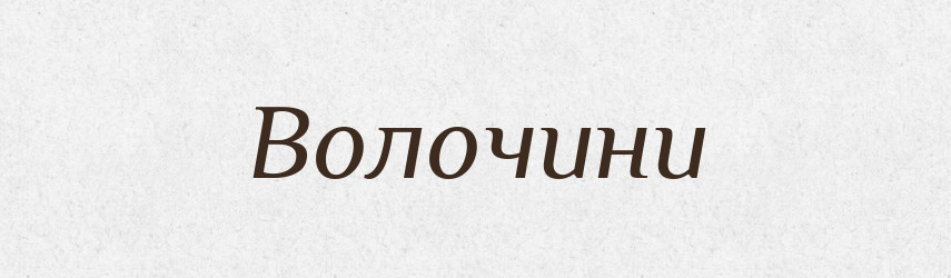Волочини — Великий тлумачний словник сучасної української мови