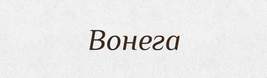 Вонега — Великий тлумачний словник сучасної української мови