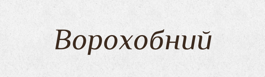 Ворохобний — Великий тлумачний словник сучасної української мови
