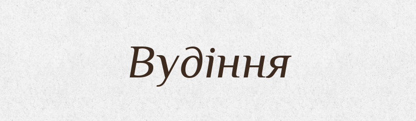 Вудіння — Великий тлумачний словник сучасної української мови
