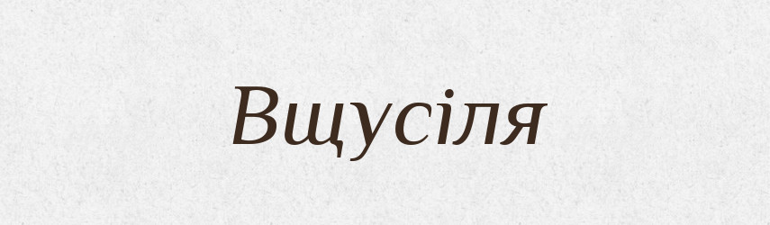 Вщусіля — Великий тлумачний словник сучасної української мови