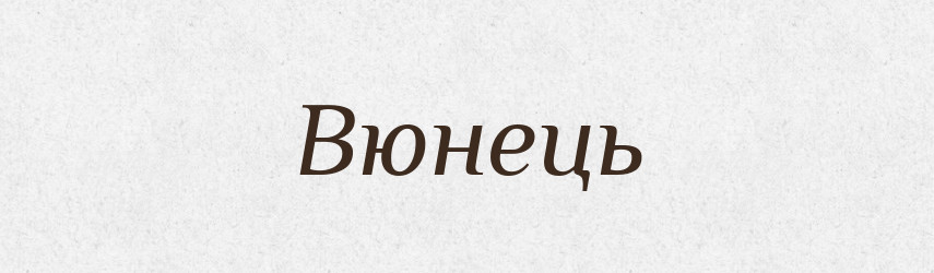 Вюнець — Великий тлумачний словник сучасної української мови