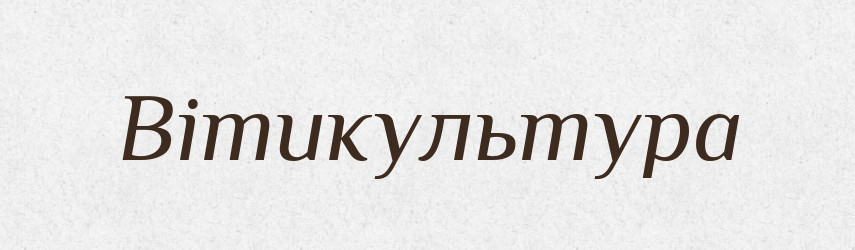 Вітикультура — Великий тлумачний словник сучасної української мови
