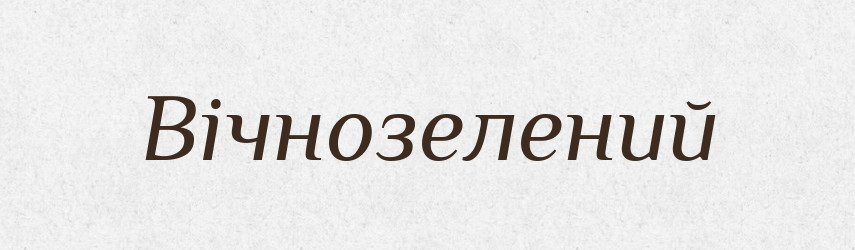 Вічнозелений — Великий тлумачний словник сучасної української мови