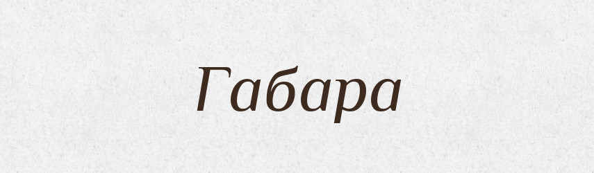 Габара — Великий тлумачний словник сучасної української мови