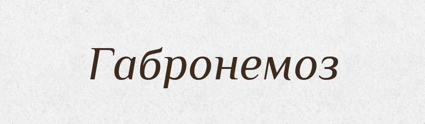 Габронемоз — Великий тлумачний словник сучасної української мови