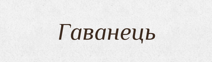 Гаванець — Великий тлумачний словник сучасної української мови