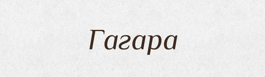 Гагара — Великий тлумачний словник сучасної української мови