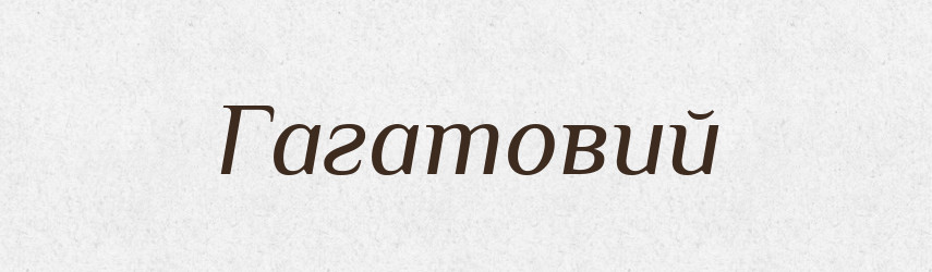 Гагатовий — Великий тлумачний словник сучасної української мови