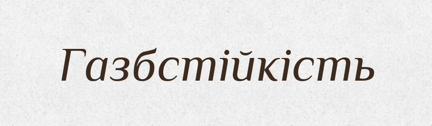 Газбстійкість — Великий тлумачний словник сучасної української мови
