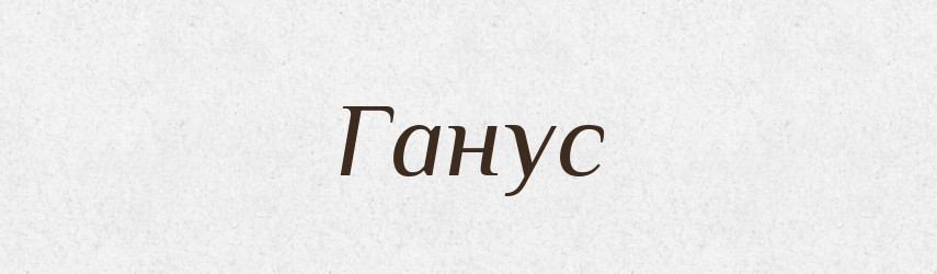 Ганус — Великий тлумачний словник сучасної української мови
