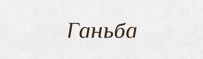 Ганьба — Великий тлумачний словник сучасної української мови