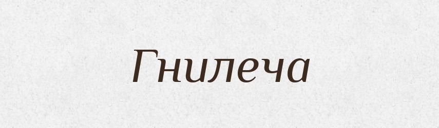 Гнилеча — Великий тлумачний словник сучасної української мови