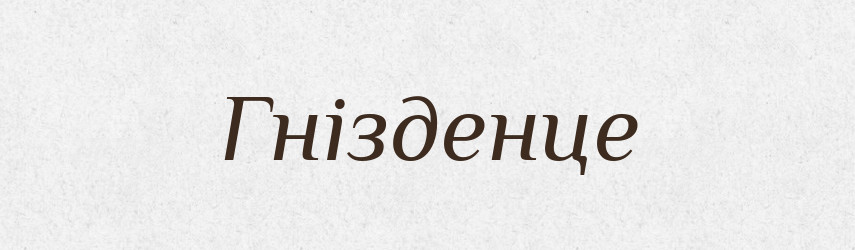 Гнізденце — Великий тлумачний словник сучасної української мови