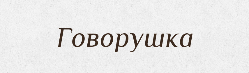 Говорушка — Великий тлумачний словник сучасної української мови