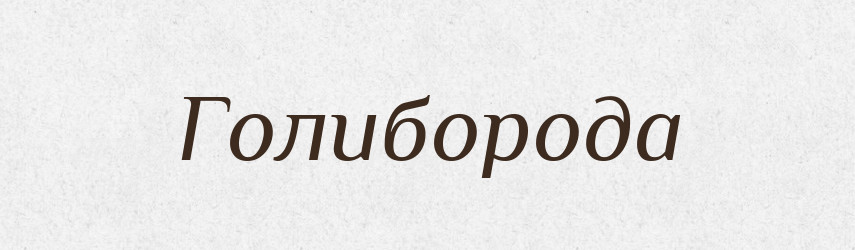 Голиборода — Великий тлумачний словник сучасної української мови