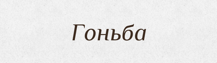 Гоньба — Великий тлумачний словник сучасної української мови