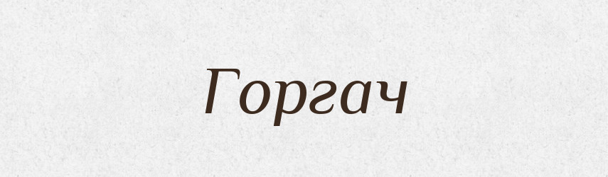 Горгач — Великий тлумачний словник сучасної української мови