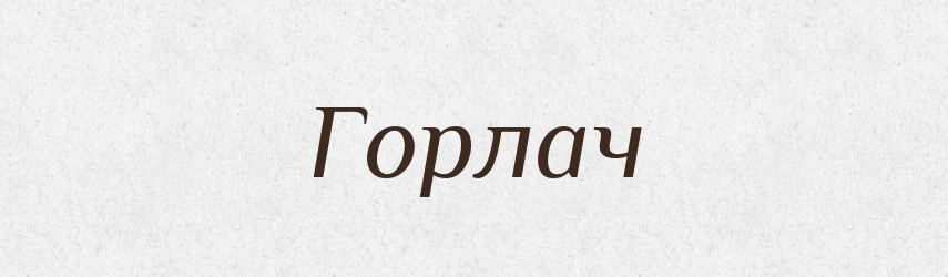 Горлач — Великий тлумачний словник сучасної української мови