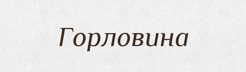 Горловина — Великий тлумачний словник сучасної української мови