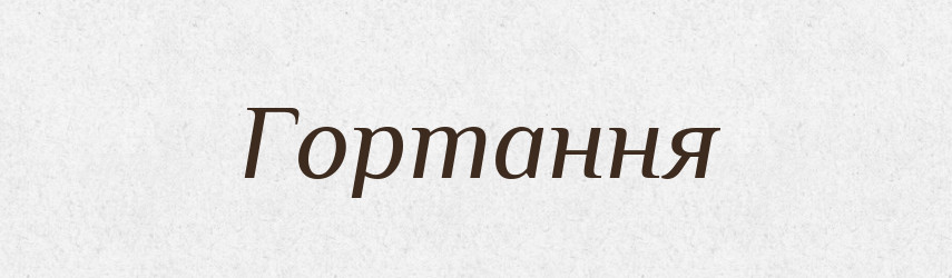 Гортання — Великий тлумачний словник сучасної української мови