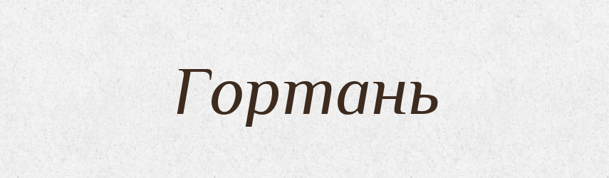 Гортань — Великий тлумачний словник сучасної української мови