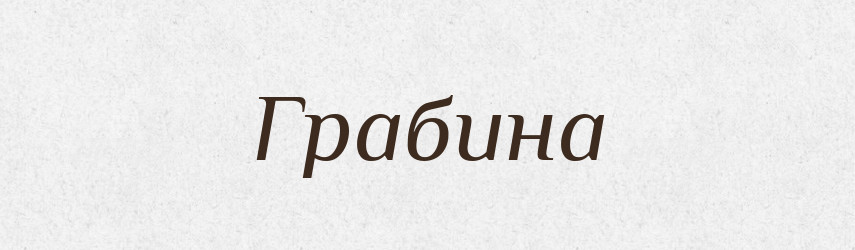 Грабина — Великий тлумачний словник сучасної української мови