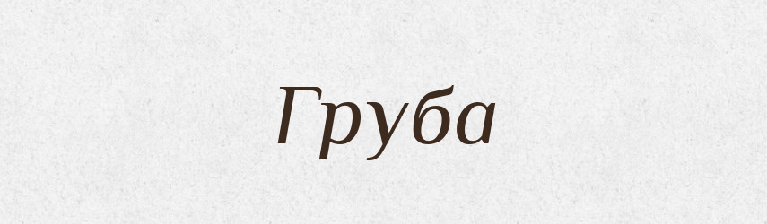 Груба — Великий тлумачний словник сучасної української мови