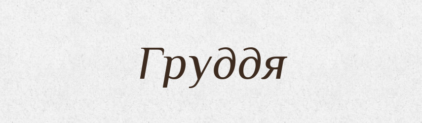 Груддя — Великий тлумачний словник сучасної української мови