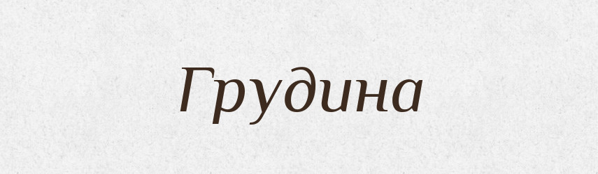Грудина — Великий тлумачний словник сучасної української мови