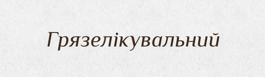 Грязелікувальний — Великий тлумачний словник сучасної української мови