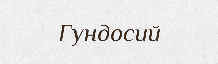 Гундосий — Великий тлумачний словник сучасної української мови