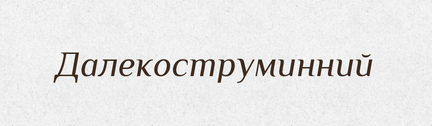 Далекоструминний — Великий тлумачний словник сучасної української мови