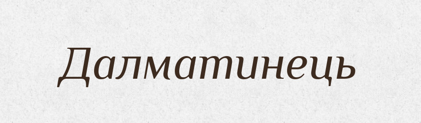 Далматинець — Великий тлумачний словник сучасної української мови